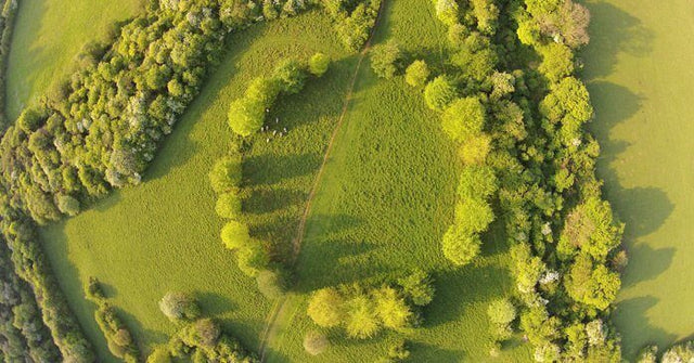 Quadcopter Laws and Regulations