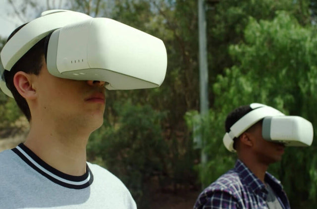 DJI Goggles for Mavic Pro FPV
