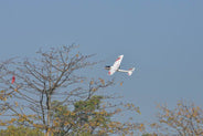 Volantex Ranger 600 Glider 3ch 600mm Brushed Plane RTF