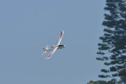 Volantex Ranger 600 Glider 3ch 600mm Brushed Plane RTF