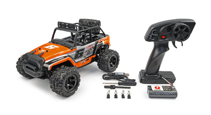 RCG Racing 18-Series 1/18 Brushed Desert Truck - Orange
