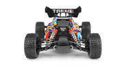 RCG Racing RB 1/18 4WD Brushless Buggy