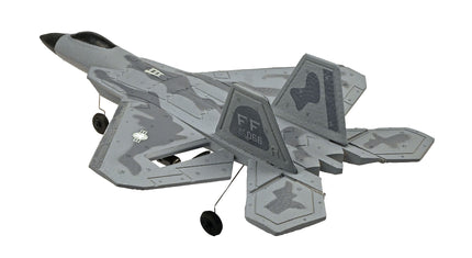 Plane With Raptor Legs RCG Racing F-22 Raptor Jet 3ch RC Plane