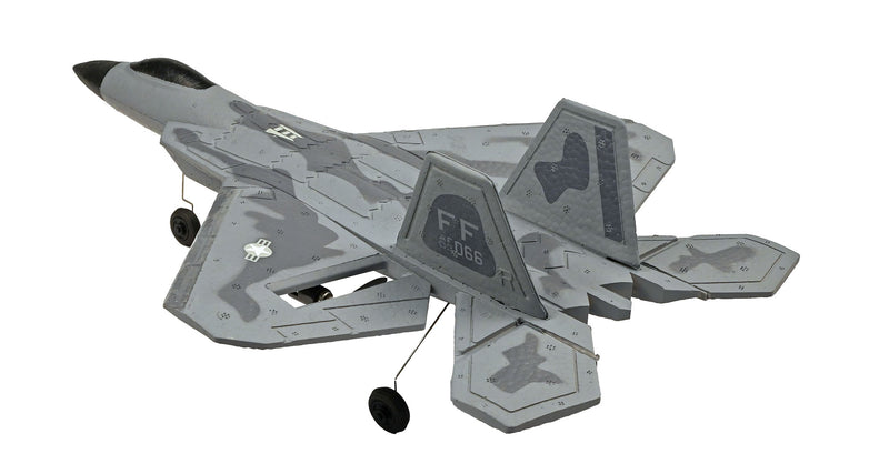 RC Geeks | RCG Racing F-22 Raptor Jet 3ch RC Plane