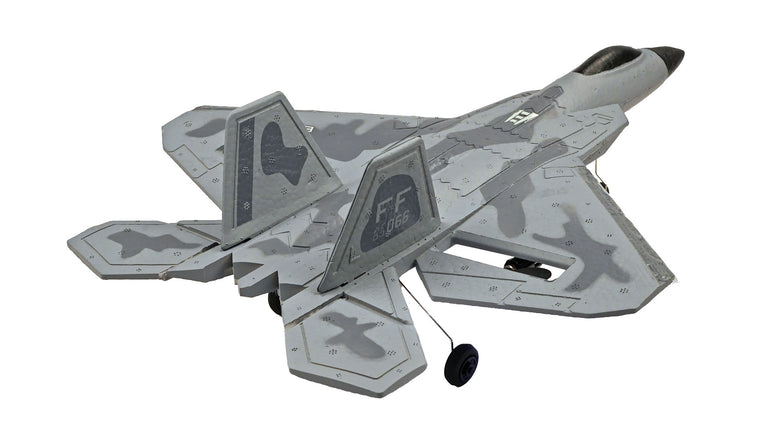 RC Geeks | RCG Racing F-22 Raptor Jet 3ch RC Plane