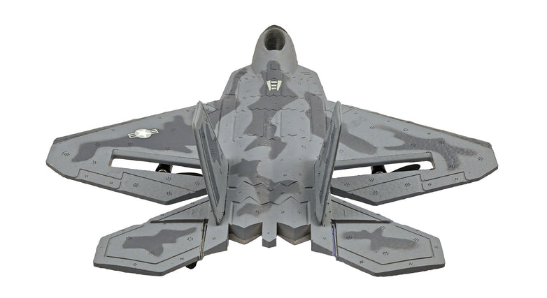 RC Geeks | RCG Racing F-22 Raptor Jet 3ch RC Plane
