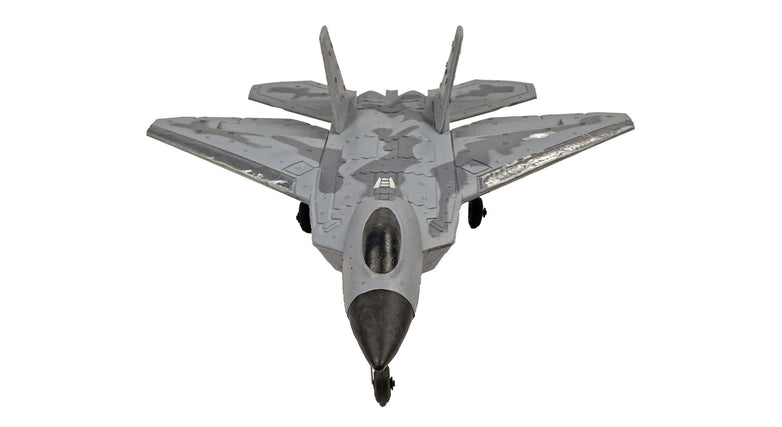 RC Geeks | RCG Racing F-22 Raptor Jet 3ch RC Plane