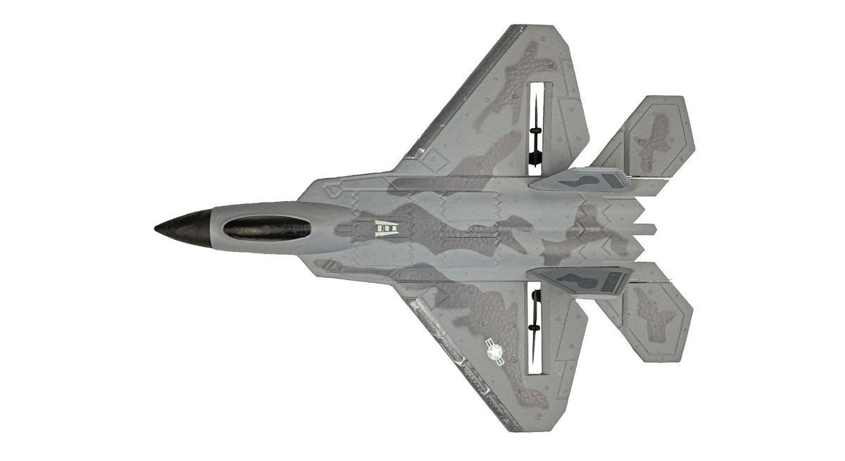 Plane With Raptor Legs RCG Racing F-22 Raptor Jet 3ch RC Plane