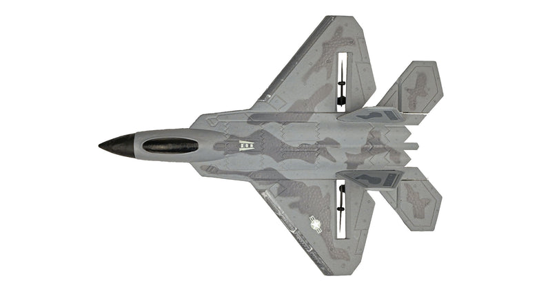 RC Geeks | RCG Racing F-22 Raptor Jet 3ch RC Plane