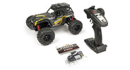 RCG Racing Wind Speed 1/16 Brushless Buggy - Black/Gold