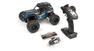 RCG Racing Wind Speed 1/16 Brushless Buggy - Black/Blue