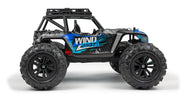 RCG Racing Wind Speed 1/16 Brushless Buggy - Black/Blue