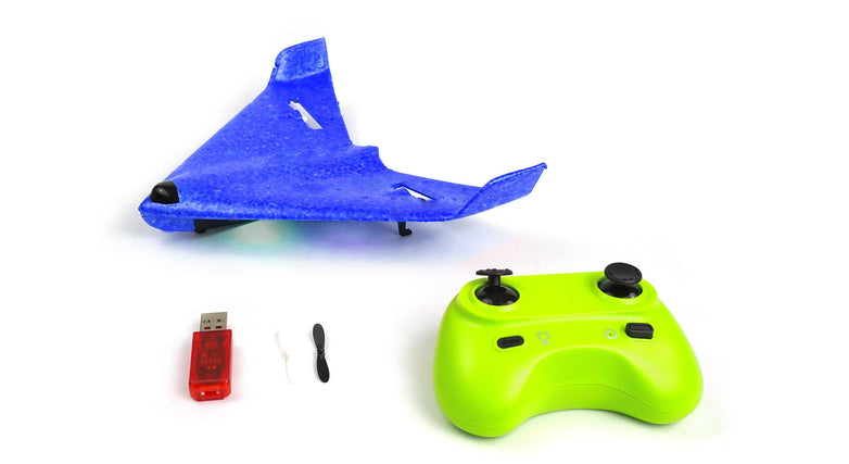 RCG Racing ZY-325 Stealth Mini Flying-Wing Plane - Blue