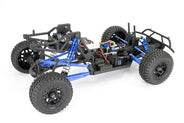 FTX Zorro 1/10 Brushed Trophy Truck RTR Blue RC Cars FTX 